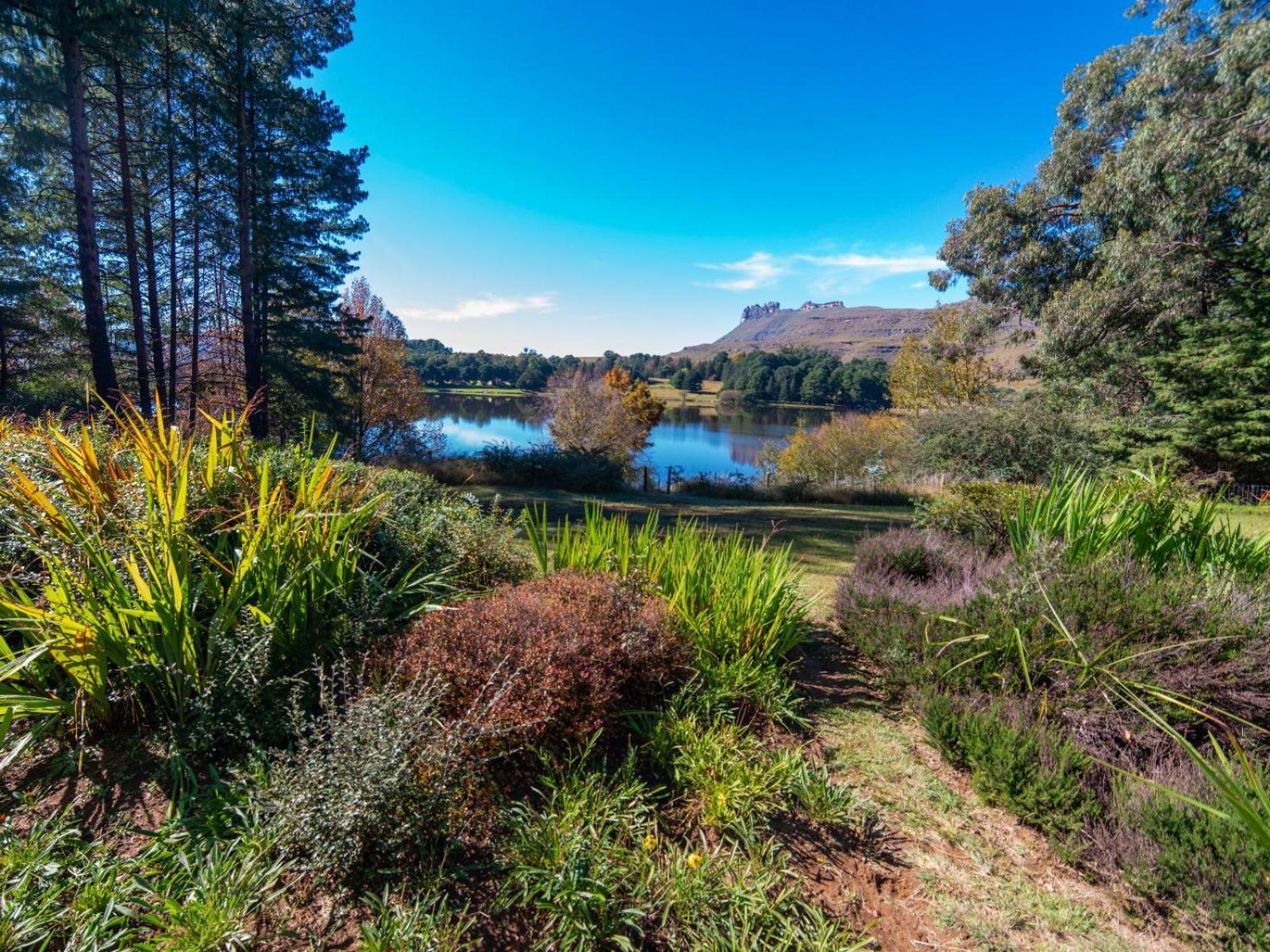 Resort Naverone Drakensberg Garden